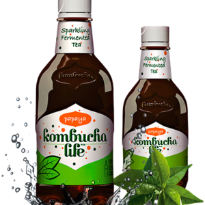 Kombucha cu papaya 500ml Kombucha Life